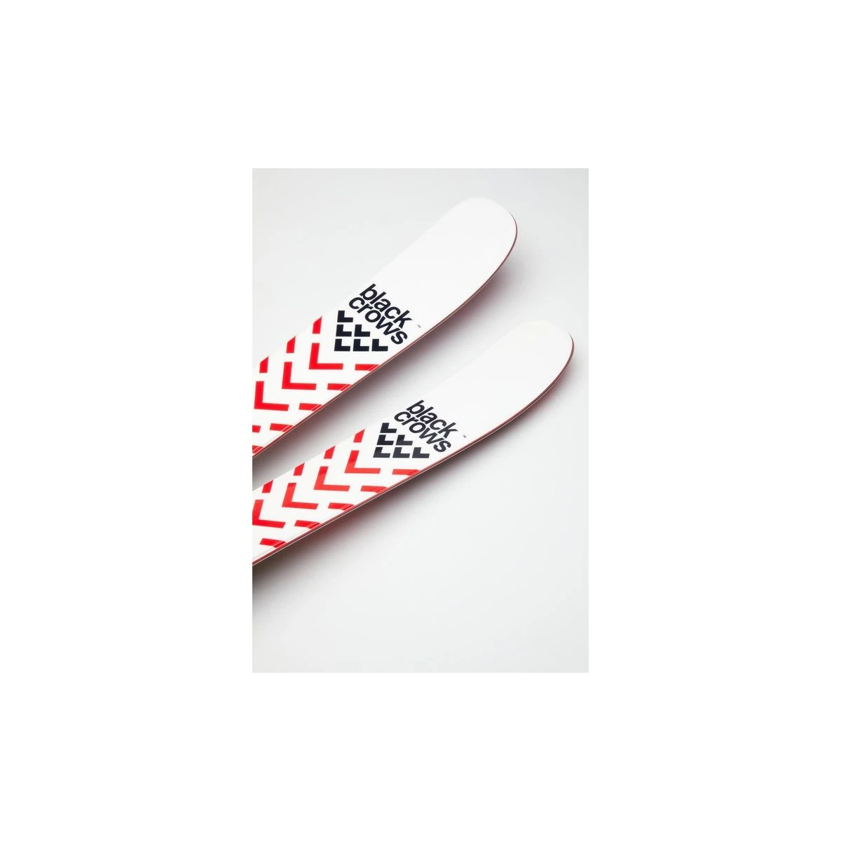 Black Crows Camox 6 Black Crows Camox - Billede 6