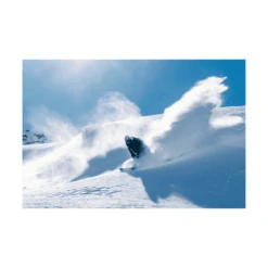 Black Crows Navis Freebird 16 Black Crows Navis Freebird -Ski Doo Salgsbutik 101661 y2